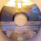 ERNST DALSGARÖ :: ÄVARINGAR :: CD .. Faroe Islands 1991 - pikkukuva 3