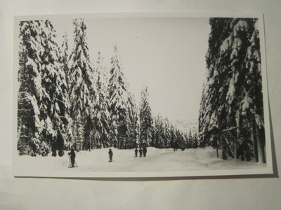 VANHA Postikortti Kuopio 1950-l  Alkup.Mallikappale