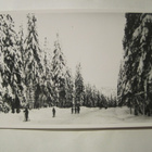 VANHA Postikortti Kuopio 1950-l  Alkup.Mallikappale - pikkukuva 1