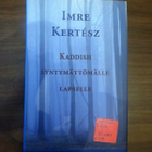 Imre Kertész: Kaddish syntymättömälle lapselle - pikkukuva 1