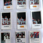 Jyväshyvä 1993-94 joukkue tarroja katso! - pikkukuva 2