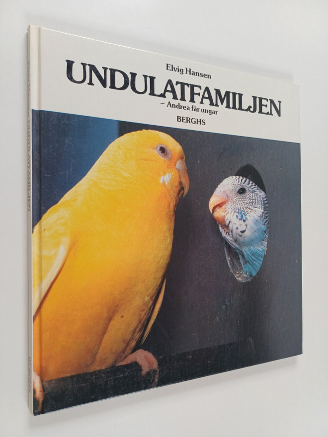 Elvig Hansen : Undulatfamiljen : Andrea får ungar