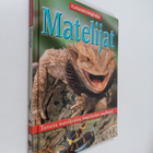 Simon Holland : Matelijat - pikkukuva 1