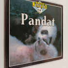 Kate Petty : Pandat - pikkukuva 1