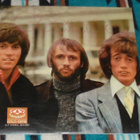 BEE GEES ~ For Ever ~ 2 LP - pikkukuva 2