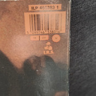 R.E.M document - pikkukuva 3