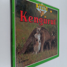 Kate Petty : Kengurut - pikkukuva 1