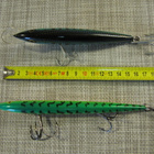 Vaappuja Rapala Ireland ja Rapala Floating. - pikkukuva 2