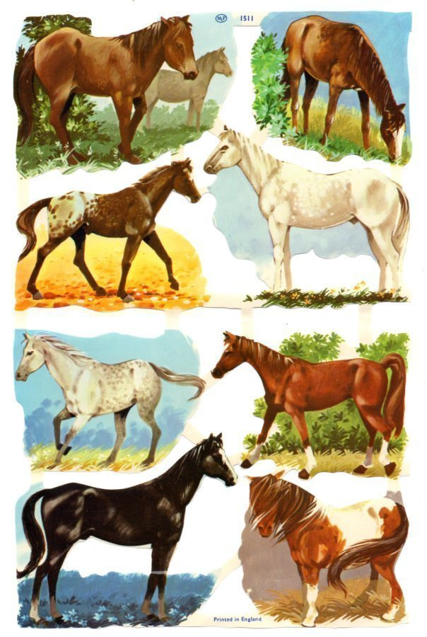 MLP 1511 / HEVOSET VAPAANA LUONNOSSA. Arkki!!