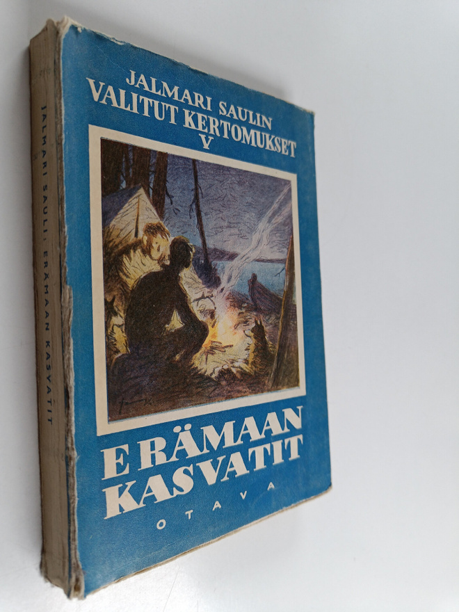 Jalmari Sauli : Erämaan kasvatit : seikkailuja suvisilla ...