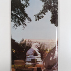 The Royal Botanic Gardens Kew : souvenir guide - pikkukuva 2