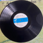 LP Kauko Käyhkö - Kehuisit edes joskus (1976) - pikkukuva 4