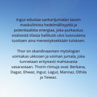 Inguz ~ Riimujen viisaus -riipus - pikkukuva 3