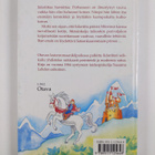 Susanna Lehto : Iidariitan seikkailu - pikkukuva 2