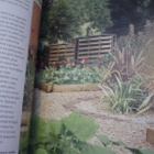 The Allotment Book - Andi Clevely - Uusi - pikkukuva 3