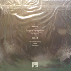 IKO-TURSO - INTO DAWNLESS REALMS - POLAND 2023 UUSI LP - pikkukuva 2