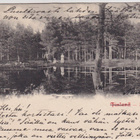 Uusikaarlepyy - Nykarleby - pikkukuva 1