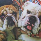 The Captain & Tennille – Love Will Keep Us Together (1975) - pikkukuva 2