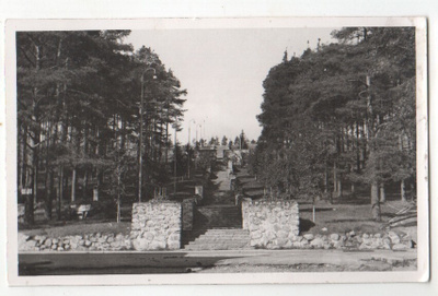 Jyväskylä harjun portaat (3)