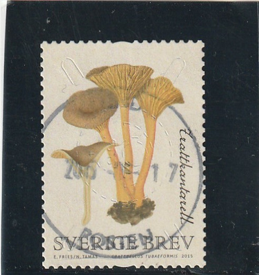 RUOTSI 2015 / Fa 3078 LEIMATTUNA