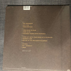 Foo Fighters Echoes, Silence, Patience & Grace lp - pikkukuva 2