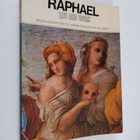 Bruno Santi : Raphael Life and Work - Special Edition for... - pikkukuva 1