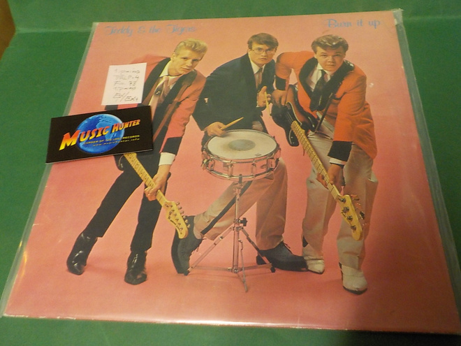 TEDDY & THE TIGERS - BURN IT UP EX/EX+ LP