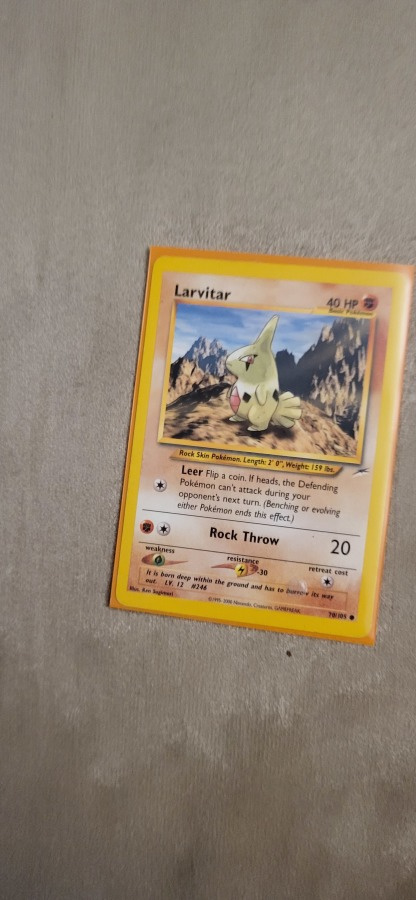 Larvitar 70/105 - Neo Destiny card