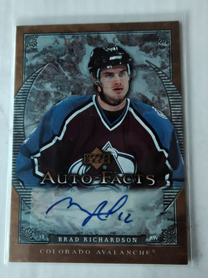 Brad Richardson 2007-08 UD Artifacts Auto-Facts