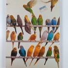 John Scoble : The complete book of budgerigars - pikkukuva 2
