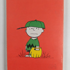 Charles M. Schulz : You can't win, Charlie Brown - pikkukuva 2