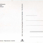 HEVONEN POSTIKORTTI - CAMARQUENHEVONEN - pikkukuva 2