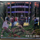 GRATEFUL DEAD Dozin at the Knick 3xCD HUIPPUKUNTO - pikkukuva 1