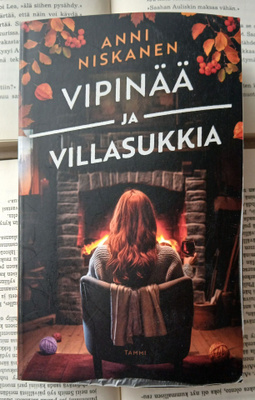 Anni Niskanen - Vipinää ja villasukkia (pokkari)