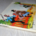 Puupään parhaat 1 -sarjakuva 2.p 1981 - pikkukuva 3