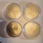 2€ Eu:n laajeneminen "risuraha" 2004. 4 kappaletta - pikkukuva 2