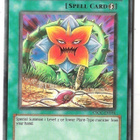 Yu-Gi-Oh loitsu Seed of Deception - pikkukuva 3