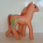 My little pony G1 SHS Wild Flower - pikkukuva 3