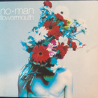 No-Man: Flowermouth - Steve Wilson, Robert Fripp cd - pikkukuva 1