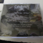 GRAVELAND - CELTIC WINTER CD '96 SAKSA PAINOS UUSI - pikkukuva 2