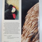 Zoo suuri eläinkirja 3 : Linnut - pikkukuva 2