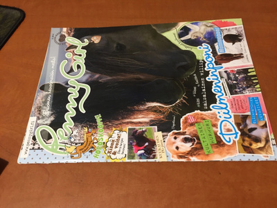 PENNY GIRL 3/2015 HYVÄ
