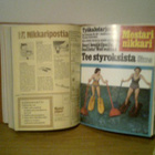 Mestarinikkarilehtiä - pikkukuva 1