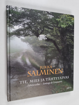 Jukka Salminen : Tie, mies ja tähtitaivas : Pyhiinvaellus...