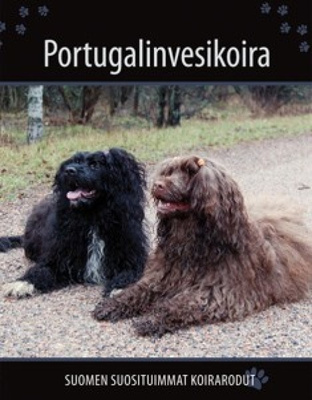 Portugalinvesikoira, uusi, sis. pk