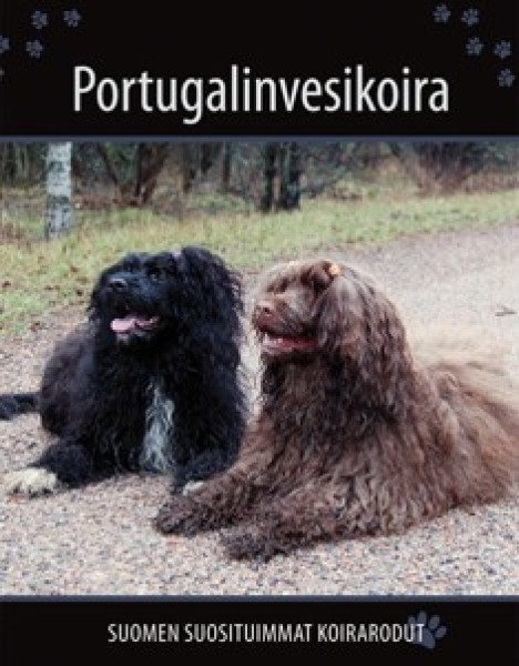 Portugalinvesikoira, uusi, sis. pk