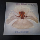 AMI STEWART - PARADISE BIRD . LP - pikkukuva 1
