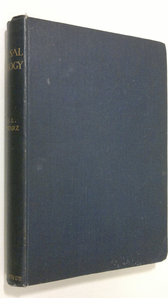 E. H. L. Schwarz : Causal Geology