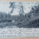 Padasjoki, Pippurin silta (A. Th. Böök'in valok.), p. 1913 - pikkukuva 1