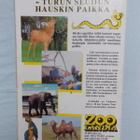 Hämähäkkimies 1989/04 - pikkukuva 2